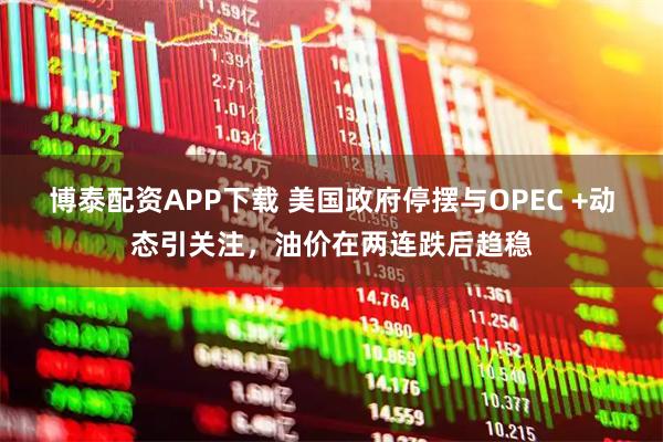 博泰配资APP下载 美国政府停摆与OPEC +动态引关注，油价在两连跌后趋稳