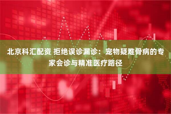 北京科汇配资 拒绝误诊漏诊：宠物疑难骨病的专家会诊与精准医疗路径