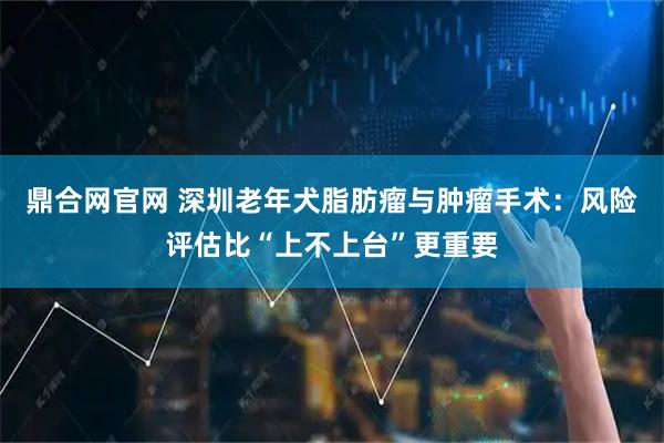鼎合网官网 深圳老年犬脂肪瘤与肿瘤手术：风险评估比“上不上台”更重要