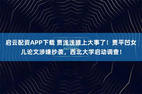 启云配资APP下载 贾浅浅摊上大事了！贾平凹女儿论文涉嫌抄袭，西北大学启动调查！